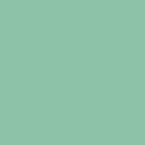 243 Filtre Rosco E-Colour (feuille)