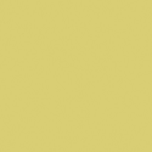 650 Filtre Rosco E-Colour (feuille)